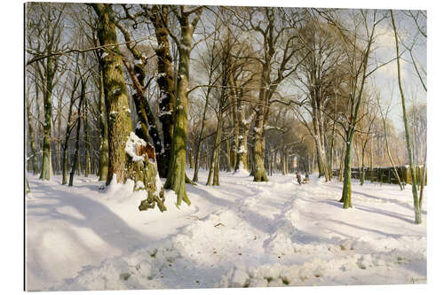 Gallery print Snowy winter forest in the sunlight