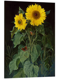 Magnettafel Sonnenblumen