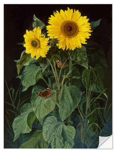 Muursticker Sunflowers