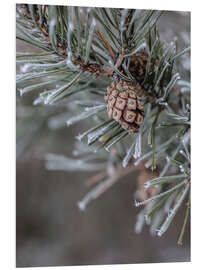 Tableau en PVC Pommes de pin en hiver