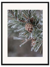 Gerahmter Kunstdruck Tannenzapfen im Winter