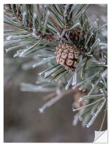 Wandsticker Tannenzapfen im Winter