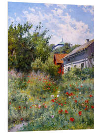 Foam board print Poppy meadow