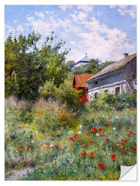 Selvklebende plakat Poppy meadow