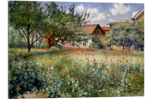 Gallery print Poppies on a sunny meadow