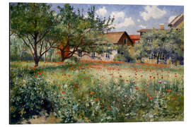 Magnettafel Mohnblumen auf sonniger Wiese