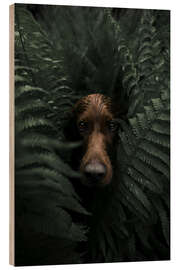 Wood print Troja in the ferns