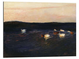 Magnettafel Eiderenten