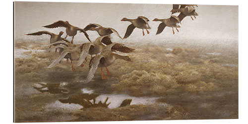 Galleriprint Landing wild geese