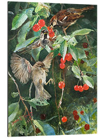 Aluminium print Sparrows in a cherry tree