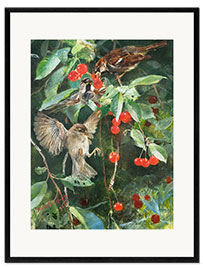 Framed art print Sparrows in a cherry tree