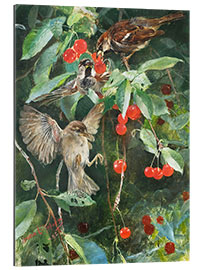 Gallery print Sparrows in a cherry tree