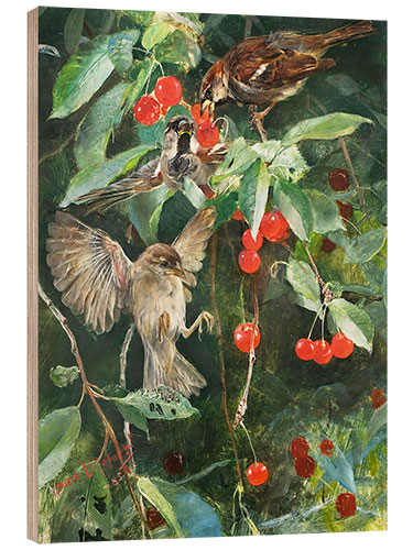 Obraz na drewnie Sparrows in a cherry tree