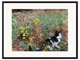 Innrammet kunsttrykk Cat on a flower meadow
