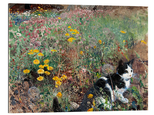 Tableau en plexi-alu Chat sur une prairie de fleurs