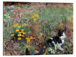 Magnettafel Katze auf einer Blumenwiese