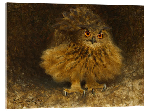 Acrylglas print An eagle owl