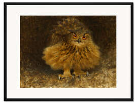 Gerahmter Kunstdruck Ein Uhu