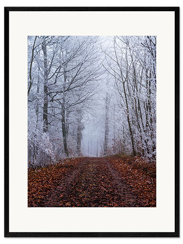 Framed art print Frozen autumn forest with white trees coverd in ice, Switzerland
