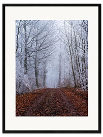 Framed art print Frozen autumn forest with white trees coverd in ice, Switzerland