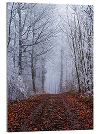 Gallery print Frozen autumn forest with white trees coverd in ice, Switzerland