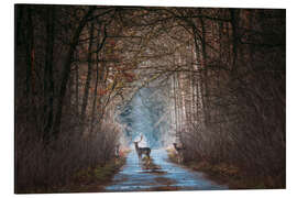 Magnettafel Märchenwald