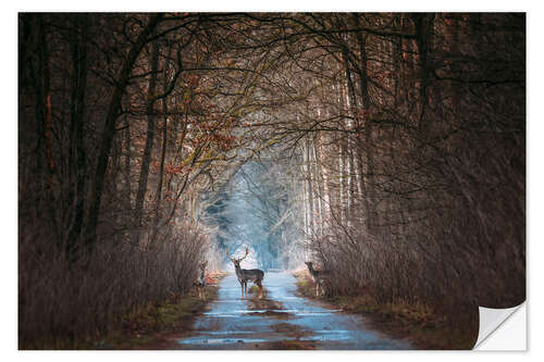 Selvklebende plakat Fairytale forest