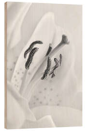 Holzbild Eine schwarz-weiße Lilie - Atteloi