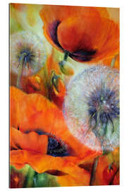 Stampa su plexi-alluminio Poppies and dandelions III