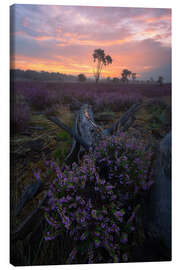 Lærredsbillede Sunrise on the Loonse en Drunense Duinen