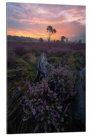 Galleriprint Sunrise on the Loonse en Drunense Duinen