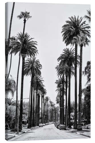 Lærredsbillede Black California - Beverly Hills