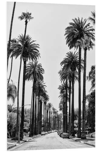 PVC print Black California - Beverly Hills