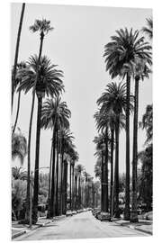 Foam board print Black California - Beverly Hills