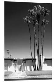 Tableau en plexi-alu Californie noire - Palm Springs