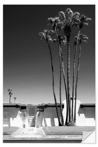 Wall sticker Black California - Palm Springs