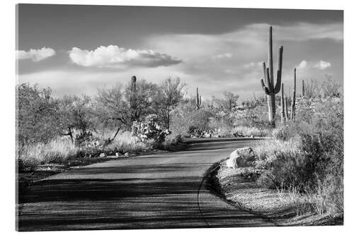Acrylic print Black Arizona - Desert Road