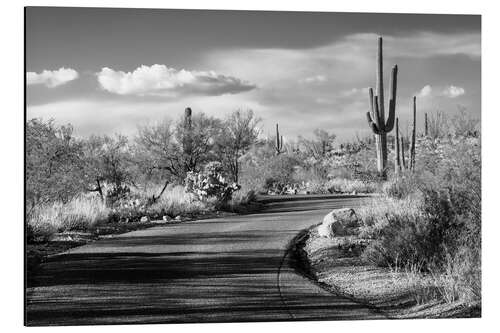 Stampa su alluminio Arizona nera - Strada del deserto