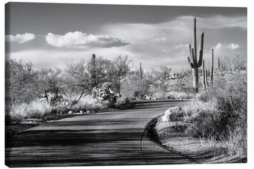 Canvas-taulu Black Arizona - Desert Road