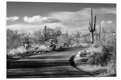 PVC-taulu Black Arizona - Desert Road