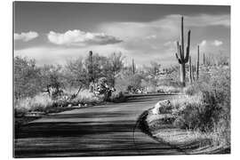 Tableau en plexi-alu Arizona noir - Route du désert