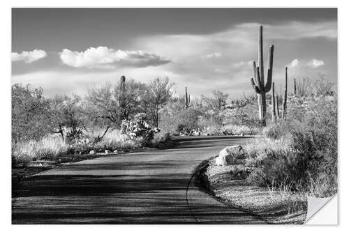 Sisustustarra Black Arizona - Desert Road