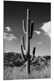 Tableau en aluminium Arizona noir - Cactus solitaire