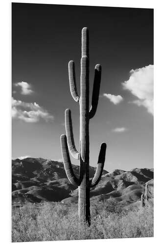 Tableau en PVC Arizona noir - Cactus solitaire