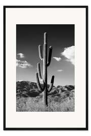 Gerahmter Kunstdruck Schwarzes Arizona - einsamer Kaktus