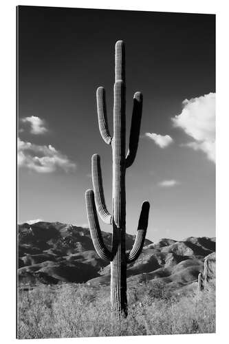 Gallery print Black Arizona - Lonely Cactus