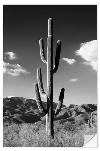 Vinilo para la pared Arizona negro - Cactus solitario