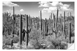 Sisustustarra Black Arizona - Saguaro Cactus Forest