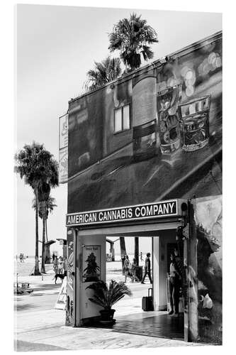 Quadro em acrílico Black California - American Cannabis Venice Beach