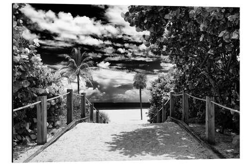 Aluminium print Black Florida - Private Beach